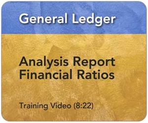 Picture of GL - Analysis Report Financial Ratios (8:22)