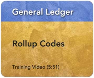 Picture of GL - Rollup Codes (5:51)
